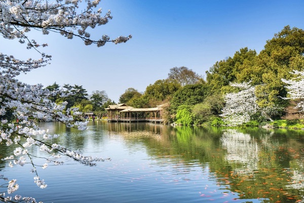 Hoa Cảng Quan Ngư gắn liền với các truyền thuyết Trung Hoa